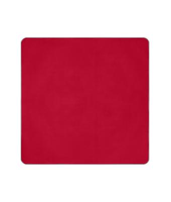 Unisex Picnic Blanket XL Rood 11189