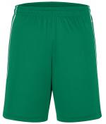 Unisex Basic Team Shorts Green/white 7456