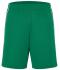 Unisex Basic Team Shorts Groen/wit 7456