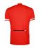 Heren Men's Bike-T Half-Zip Rood 7939