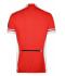 Homme Maillot cycliste homme Rouge 7941
