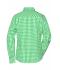 Dames Ladies' Checked Blouse Groen/wit 8053