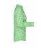 Ladies Ladies' Traditional Shirt Green/white 8306