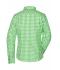 Ladies Ladies' Traditional Shirt Green/white 8306