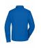 Ladies Ladies' Business Shirt Long-Sleeved Royal 8388