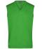 Men Men's V-Neck Pullunder Green 8058