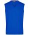 Men Men's V-Neck Pullunder Royal 8058