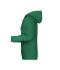 Herren Men's Promo Hoody Irish-green 8628