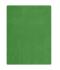 Unisex Fleece Blanket Lime 7566