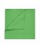Unisex Bandana Lime-green 7596