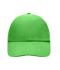 Unisex 6 Panel Raver Cap Lime-green 7690