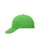 Unisex 6 Panel Raver Sandwich Cap Lime-green/white 7691