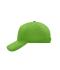 Unisex 5 Panel Cap Kiwi 7693
