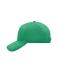 Unisex 5 Panel Cap Iers-groen 7693