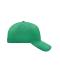 Unisex 5 Panel Cap Iers-groen 7693