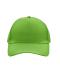 Unisex 5 Panel Cap Kiwi 7693
