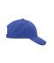 Unisex Brushed 6 Panel Cap Royal 7694
