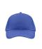 Unisex Brushed 6 Panel Cap Royal 7694