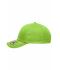 Unisex 6 Panel Heavy Brushed Cap Lime 8585