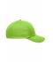 Unisex 6 Panel Heavy Brushed Cap Lime 8585
