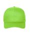 Unisex 6 Panel Cap Bio Cotton Lime 10230