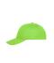 Unisex 6 Panel Cap Bio Cotton Lime 10230