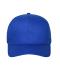 Unisex 6 Panel Cap Organic Cotton Royal 10230