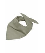Unisexe Foulard triangle Kaki 7757