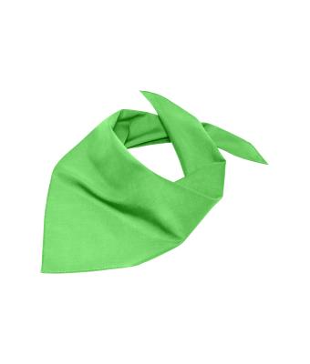 Unisex Triangular Scarf Lime-green 7757