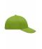 Unisex Light Brushed Sandwich Cap Lime-green/beige 7774
