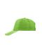 Unisex 5 Panel Promo Sandwich Cap Lime-green/white 7783