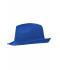 Unisex Promotion Hat Royal 8350