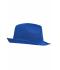 Unisex Promotion Hat Royal 8350