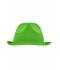 Unisex Promotion Hat Lime 8350