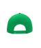 Unisex 6 Panel Pro Cap Style Green/green 8359