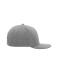 Unisex 6 Panel Pro Cap Style Grijs/grijs 8359