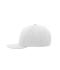 Unisex 6 Panel Pro Cap Style White/white 8359