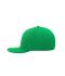Unisexe Casquette Pro street style 6 panneaux Vert/vert 8359