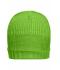 Unisex Promotion Beanie Spring-green 8325